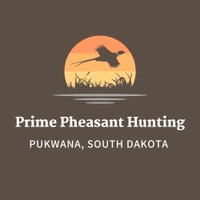 Dakota Pheasant