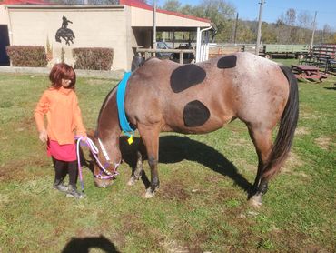 Side view of Scooby Doo