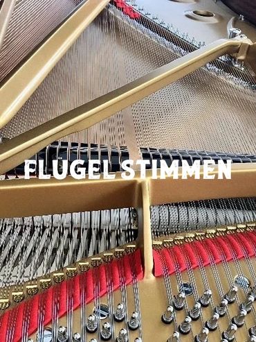 Flügel Stimmen
Egal welche Marken oder wann die letzte Stimmung, stimme ich Ihr Flügel.