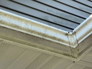 Dirty and moldy house gutter and siding corner.