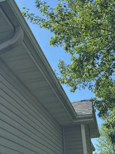 Blue sky, green leafy tree, and house roof edge with gutter.