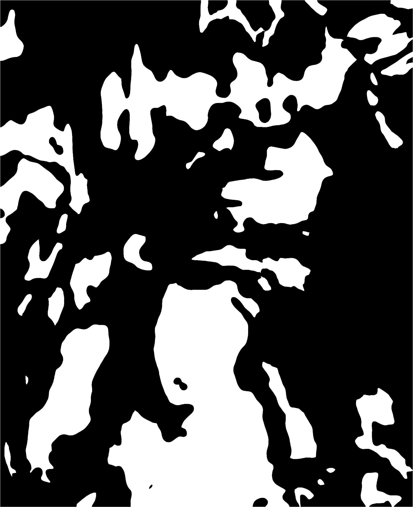 high contrast black and white abstract forms
