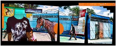 rectangular collage of images horse, man walking, child, blue building