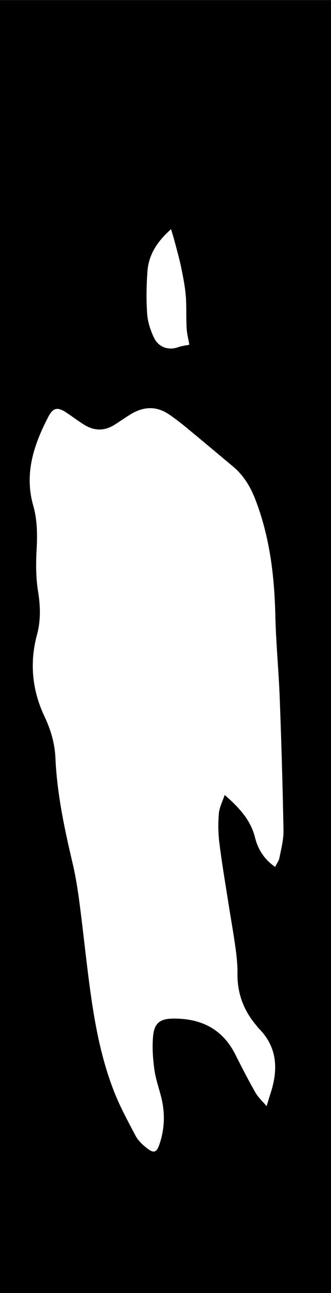 high contrast black and white abstract forms