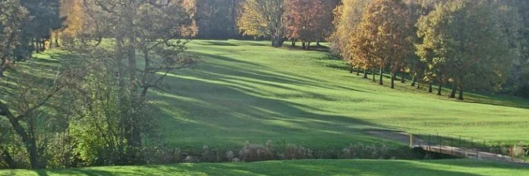 A green grassy hill with trees showing autumn colors under sunlight.