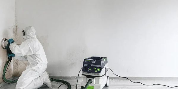 Worker removing mold from wall.
