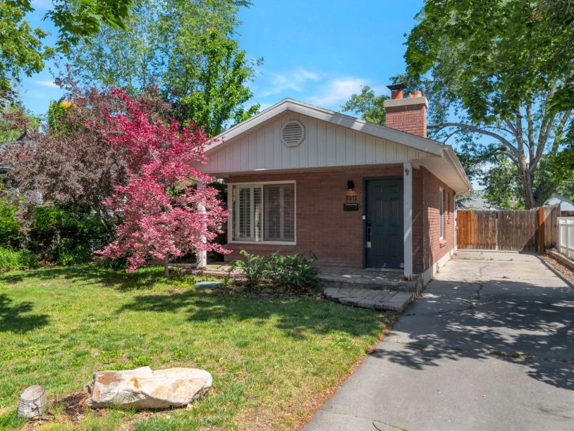 Cozy brick house with a blooming pink tree and driveway on a sunny day.