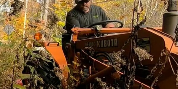Tractor Services such as Flail Mowing