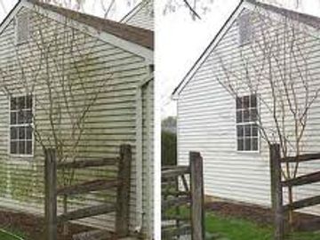 Cleaning mold and mildew from vinyl siding.  Softwash house washing service in Greensburg area.