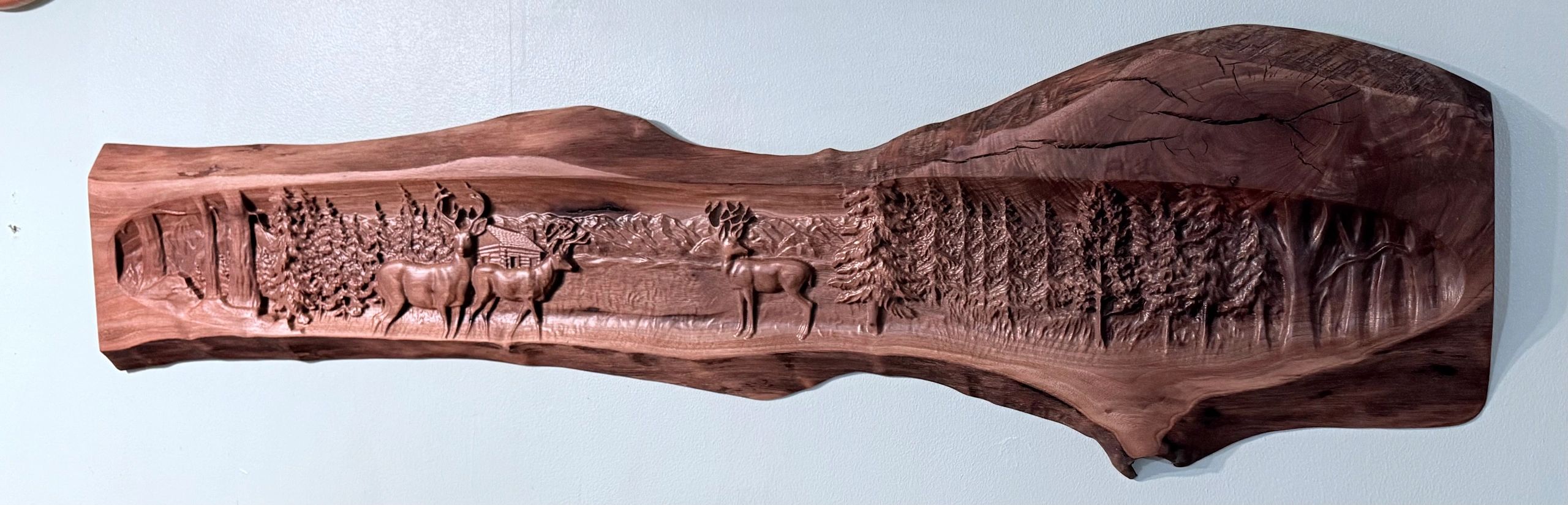 Black walnut Deer Scene 40" long.