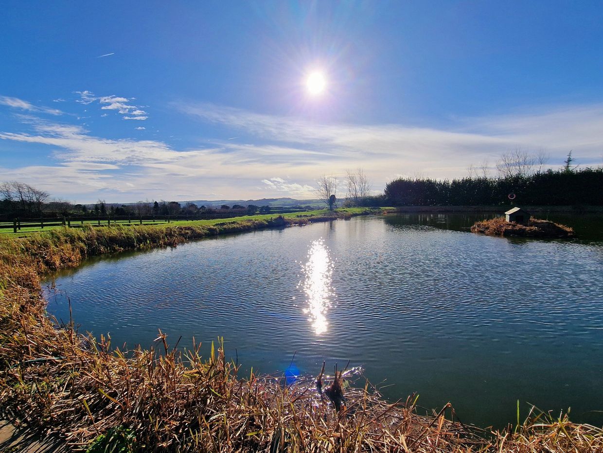 coarse fishing lake showing view on a sunny winters day