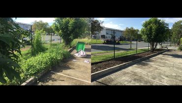 Garden clean up before and after