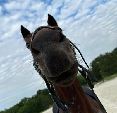 Adonis, owner Felicia