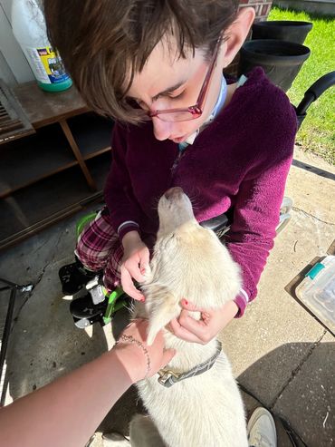 There is nothing more therapeutic than a pooch.