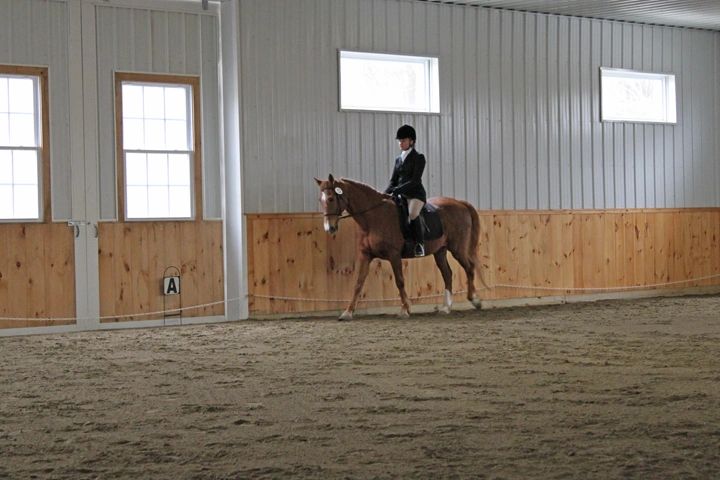 a dressage rider on a chestnut horse