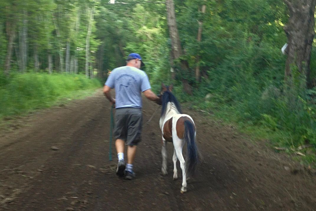 a man leading a miniature horse down a wide trail in the woods