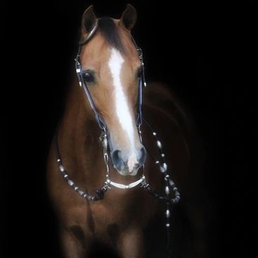 a chestnut horse with white face markings wearing a western bridle