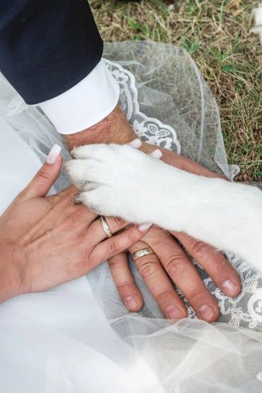 Wedding rings on hands with a dog's paw, symbolizing family unity.