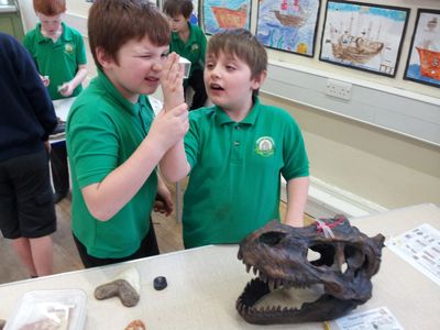 Science week workshop activity. Dinosaurs. Fossils. School science day. STEM science enrichment.