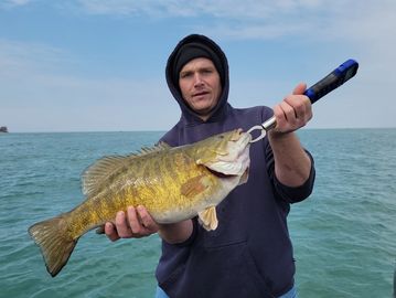 7.9 pound smallmouth bass caught in lake ontario  at the mouth of the niagara river.