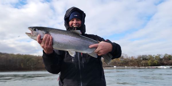 Steelhead fishing charter Niagara River