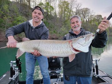 Musky Fishing Lower Niagara River