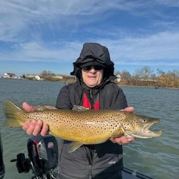 Brown Trout fishing charter Niagara River, Lake Ontario