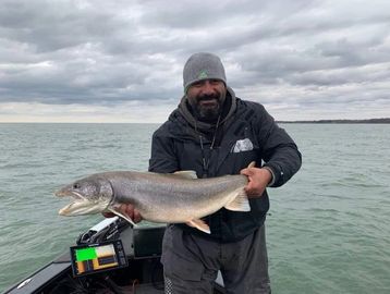 Lake Trout Fishing Charter Niagara Bar Lake Ontario