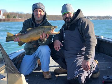 Brown Trout Fishing Charter Lower Niagara River