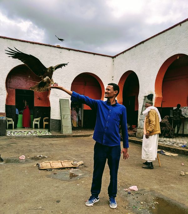 Ethiopian man in Harar market feeding a falcon East Africa