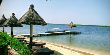 Sine Saloum mangrove forest beach Senegal