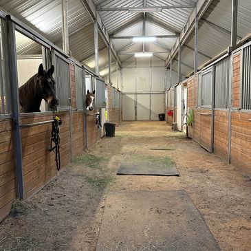 Cozy horse boarding!