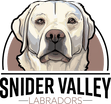 Snider Valley Labradors