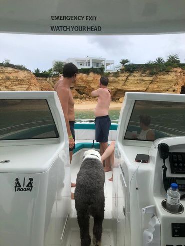 Snorkeling in Anguilla. sightseeing Anguilla. Open Seas charters Anguilla. Boat charter. Boat tour.