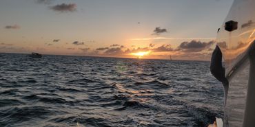 Snorkeling in Anguilla. sightseeing Anguilla. Open Seas charters Anguilla. Boat charter. Boat tour.