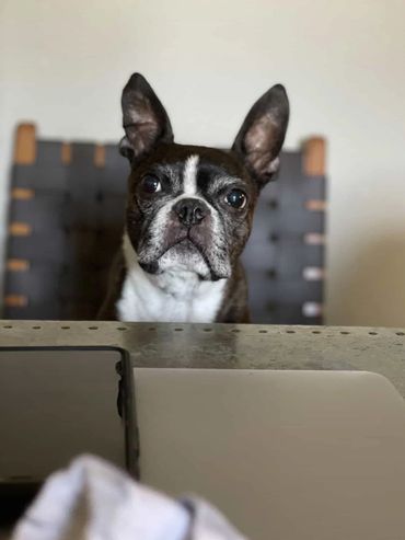 Angel hero Asti (@_s_n_m_) is pure love