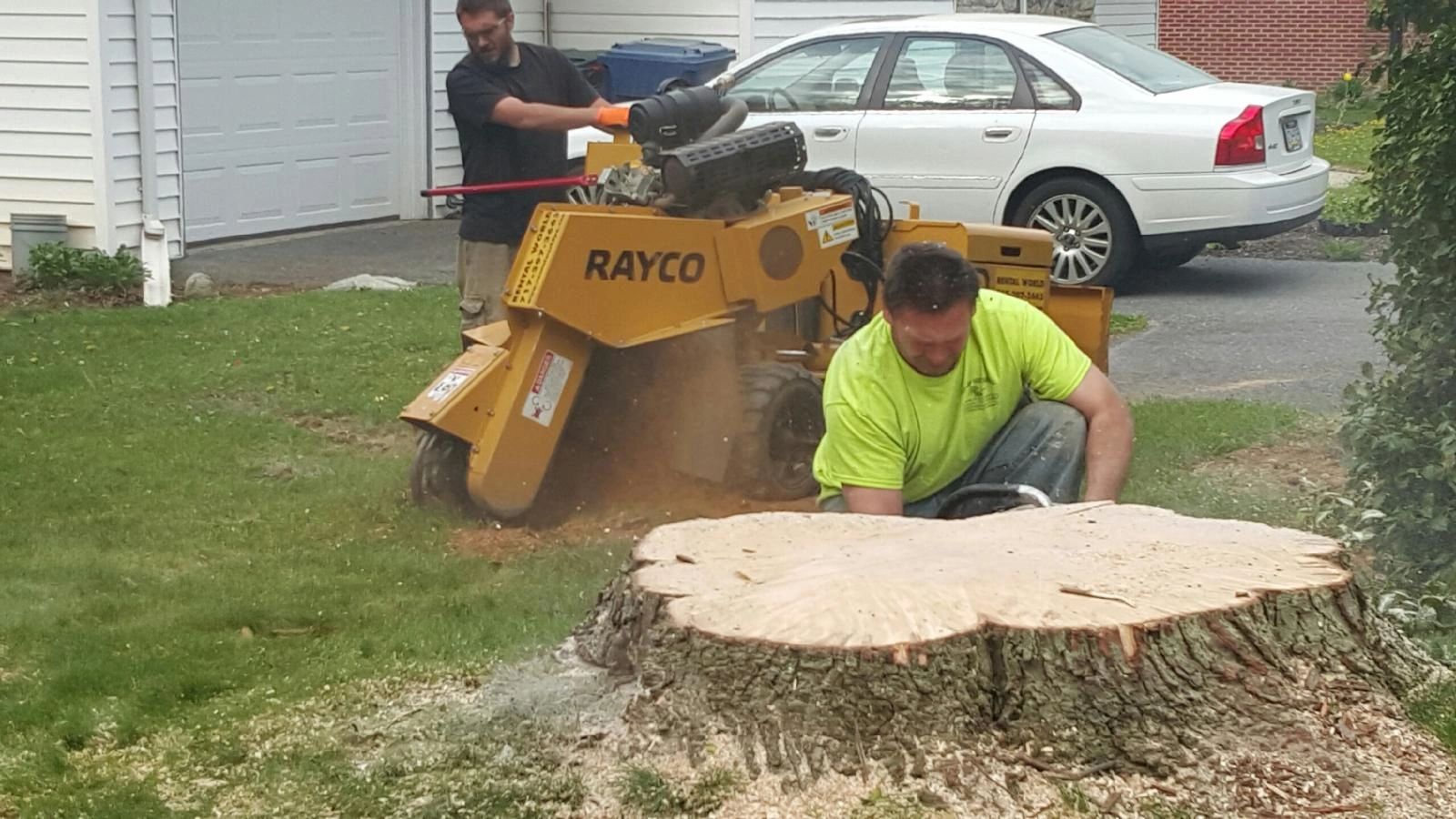 Grinding a stump in Lancaster Pa