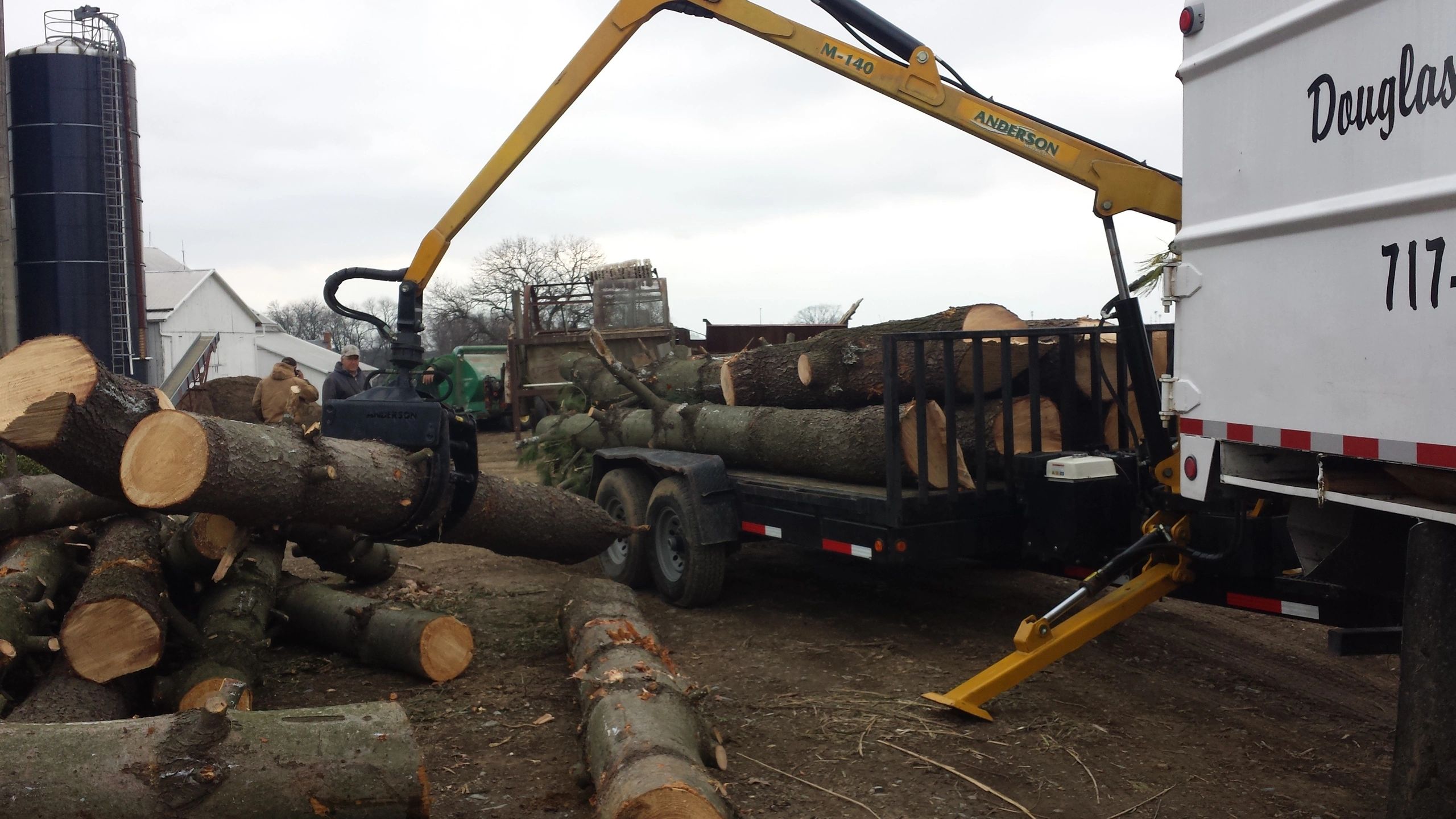 A professional arborist removing a tree in Lancaster, PA.