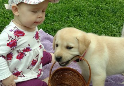 N with her new puppy friend