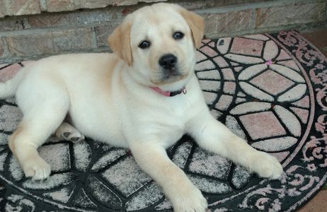 Welcome take me home