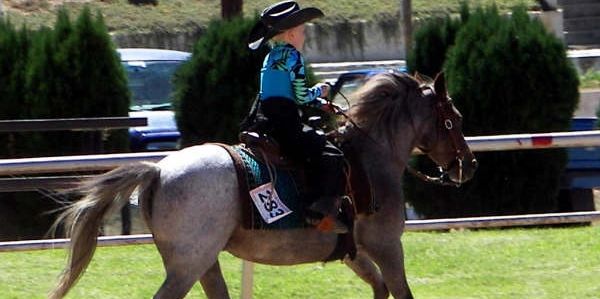 Matching rider and horse