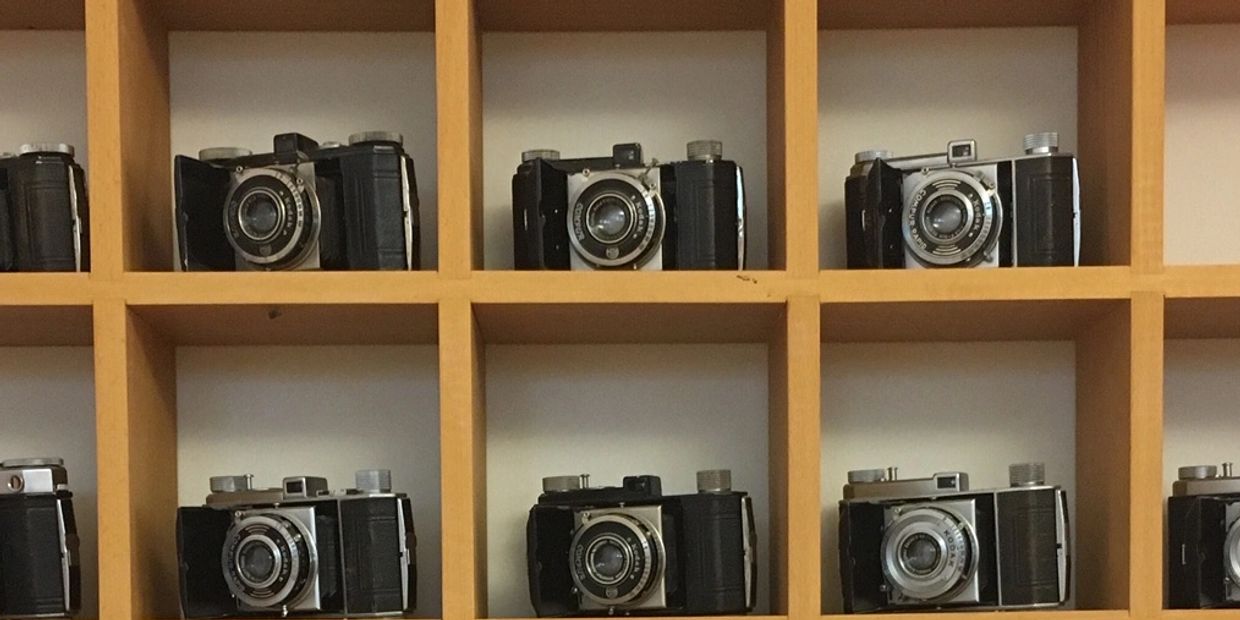 A collection of 25 cameras. 