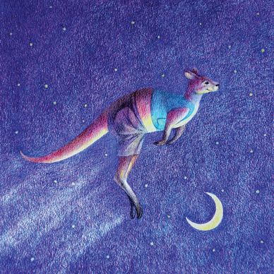 book page - kangaroo doing a big jump over the moon