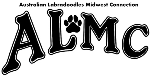 Australian Labradoodles Midwest Connection