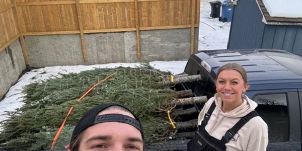 Two people with Christmas trees loaded on a truck.