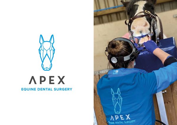 Logo design, Apex Equine Dental Surgery