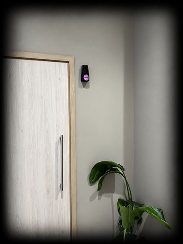 Black dispenser containing Ethicork™ mounted with a green plant below, in a TOGETHER.SPACE washroom