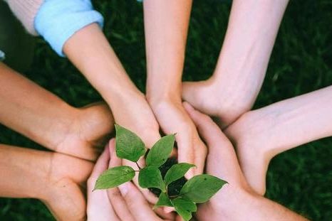 Get involved in a jain temple jain Mandir jain mission