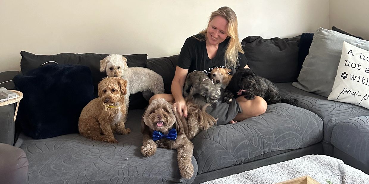 Pico Pups Parkinson owner sitting on the couch surrounded by dogs at doggy daycare.