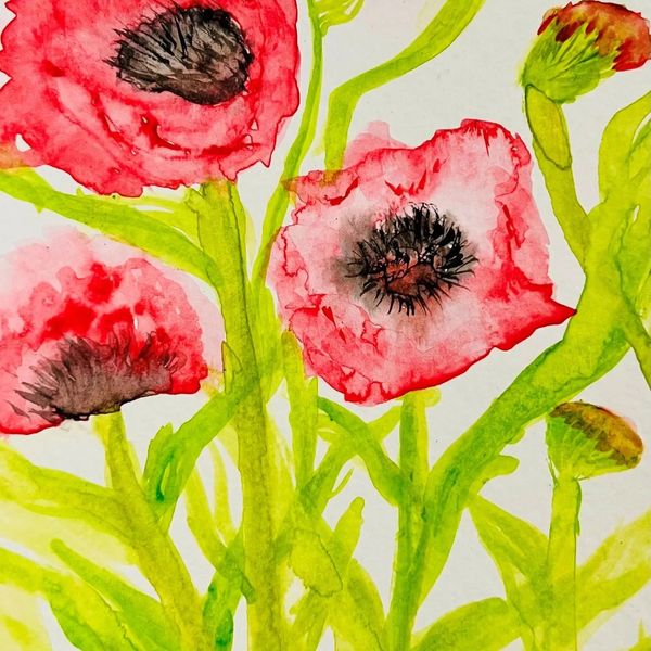 Watercolor painting of bright red poppies with green stems and leaves.